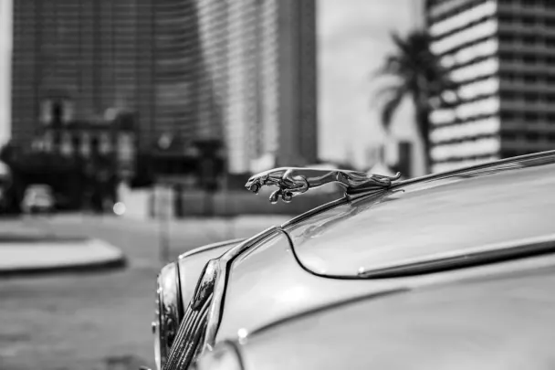 Kasino Golden Reels Android/iOS Sovellus